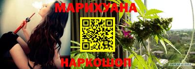 дживик Бийск