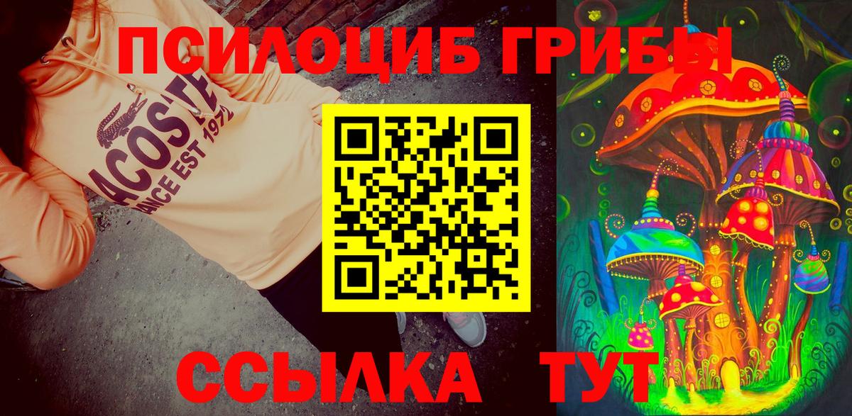 Псилоцибиновые грибы мухоморы Новодвинск