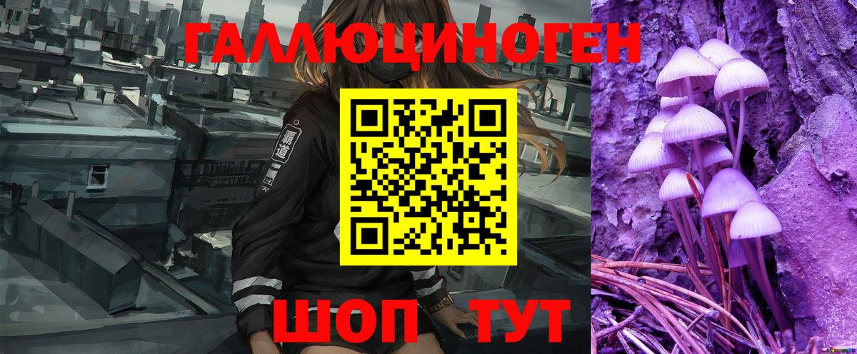 Галлюциногенные грибы Magic Shrooms  Новодвинск 
