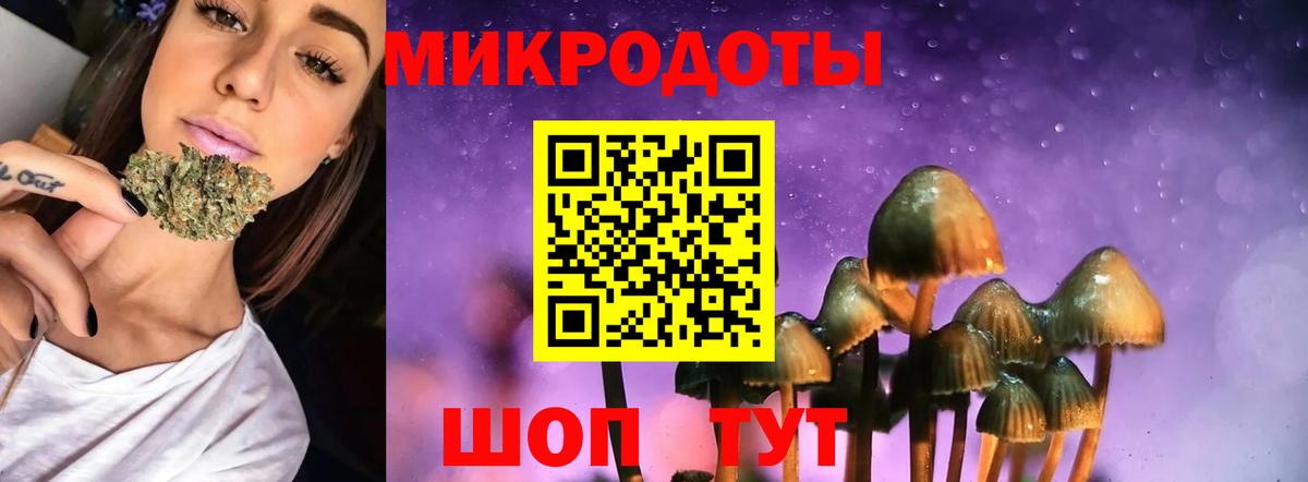 Псилоцибиновые грибы Psilocybe  купить   Новодвинск  Вход с VPN 