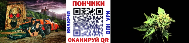 Конопля тримм Новодвинск