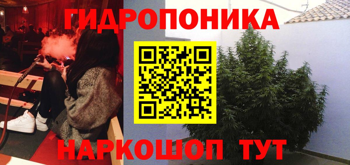 Бошки марихуана сатива  Канабис планчик  Новодвинск  Бошки Шишки индика  Марихуана семена 