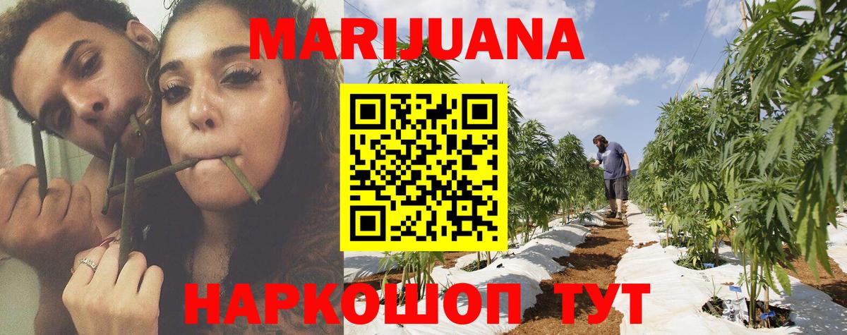 Конопля планчик  Бошки марихуана планчик  Вход с VPN  Марихуана LSD WEED  Новодвинск 